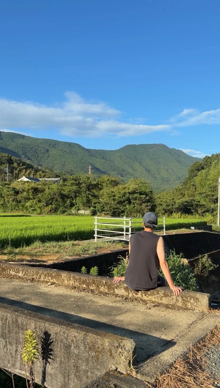 朝の田園風景を見るたくみ